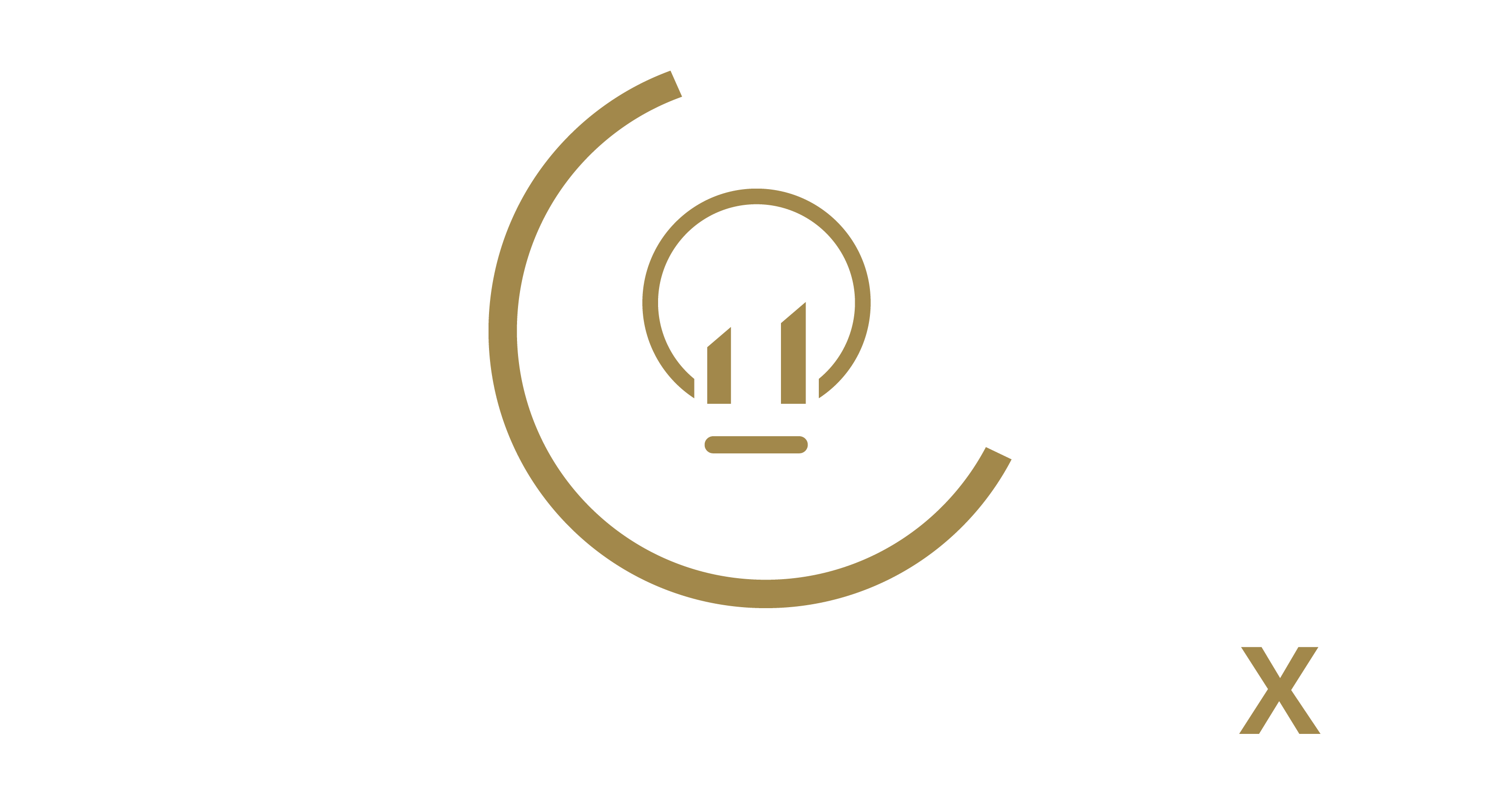 Business Finance 2XL LTD